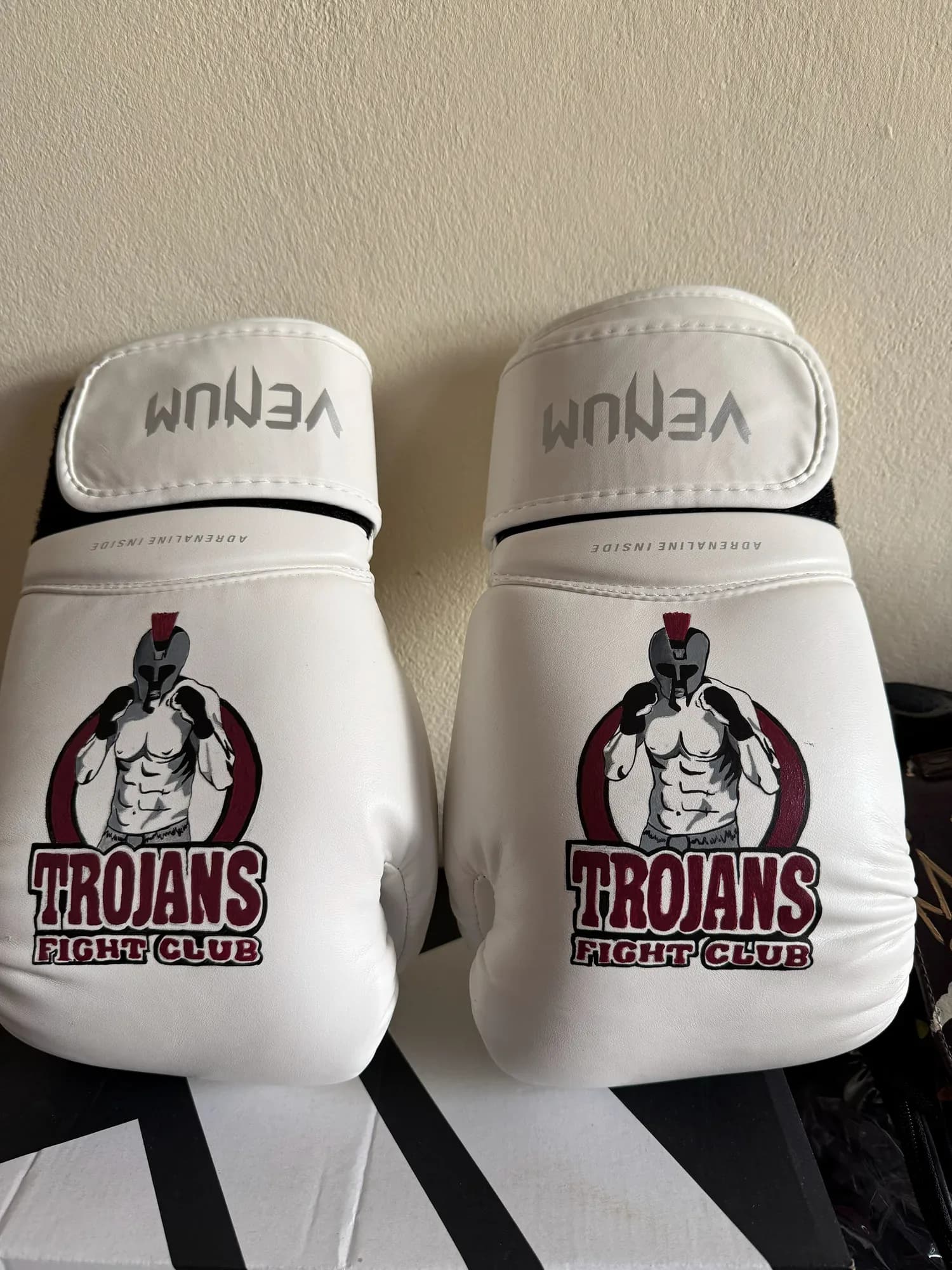Boxing gloves hand-painted with a fight-club logo
